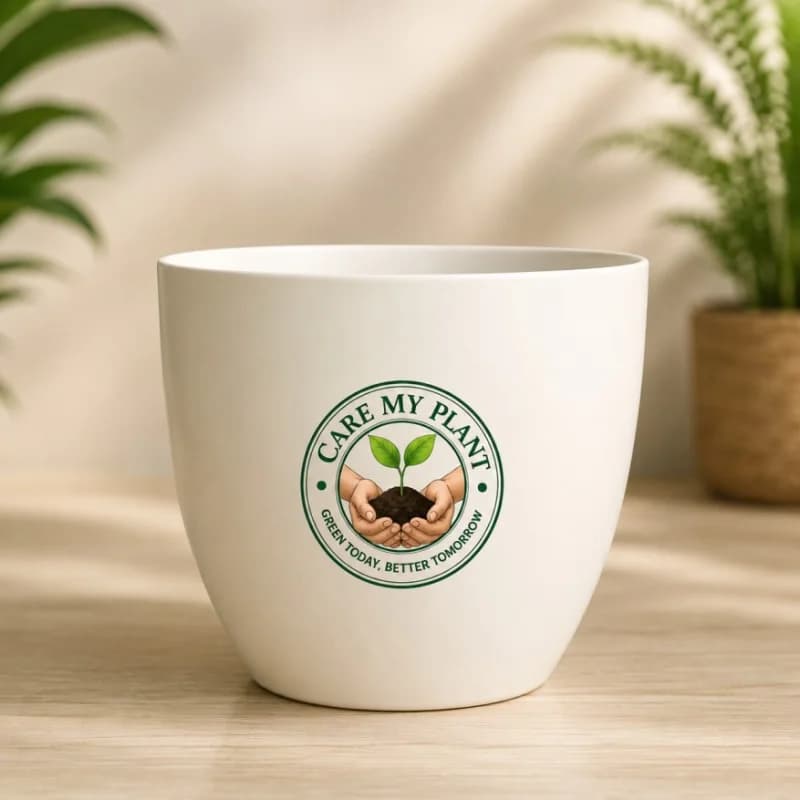 Deco Pot