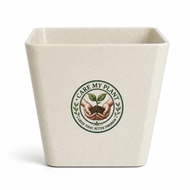 CareMyPlant StoneX
