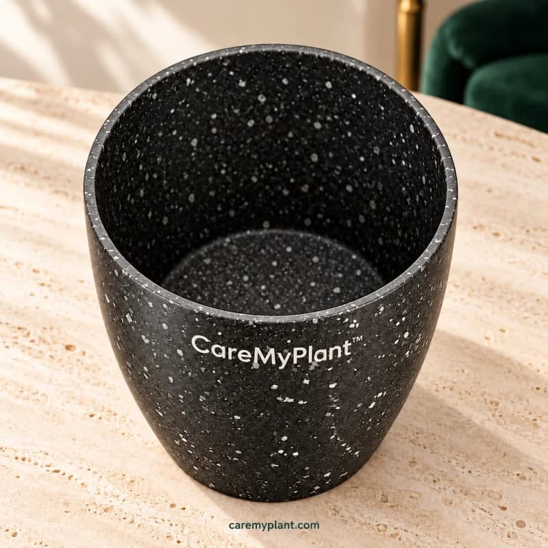 Kavora Premium Planter Collection